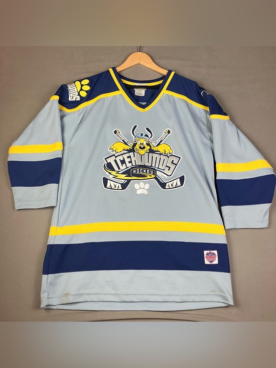 Disney Other - VTG Walt Disney World Hockey Jersey Adult Size M Pluto Icehounds #30 Gray Navy.